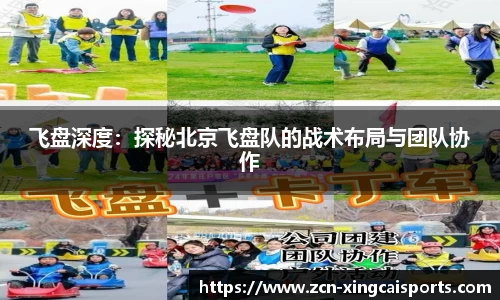 飞盘深度：探秘北京飞盘队的战术布局与团队协作